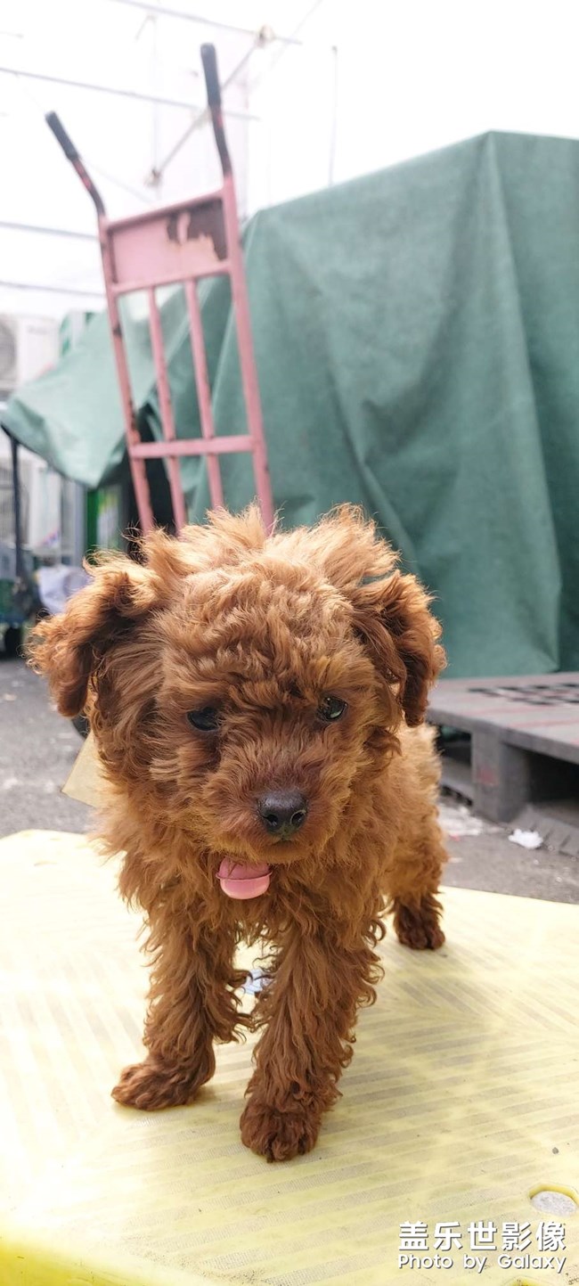 今天早上