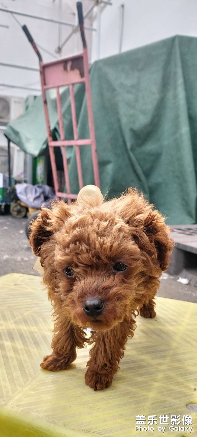今天早上