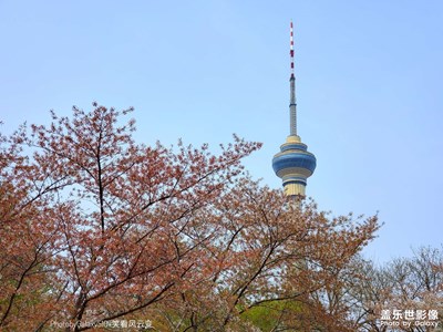已開獎(jiǎng)【蓋樂世影像周賽第234期】——人間四月