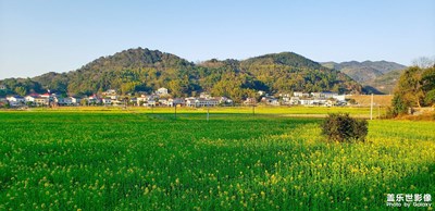 【春日幸事】＋花田錯