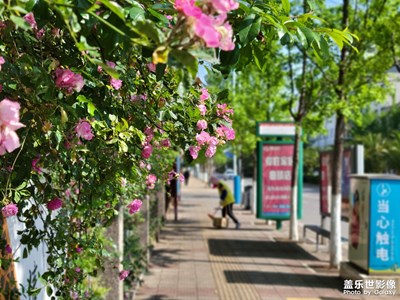 【時(shí)光正好】+花開(kāi)時(shí)節(jié)