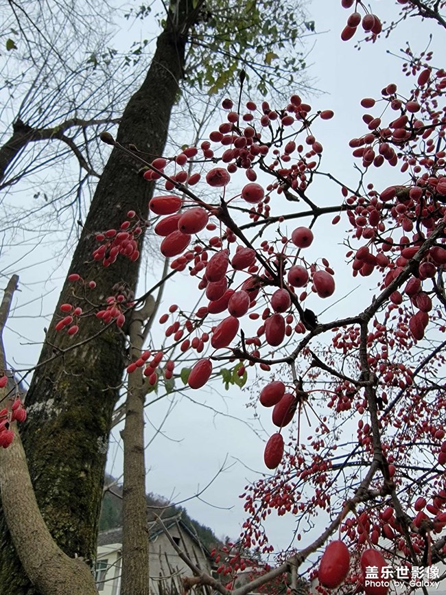 水貼，不要點(diǎn)