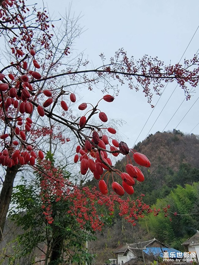 水貼，不要點(diǎn)