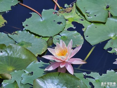 華南植物園