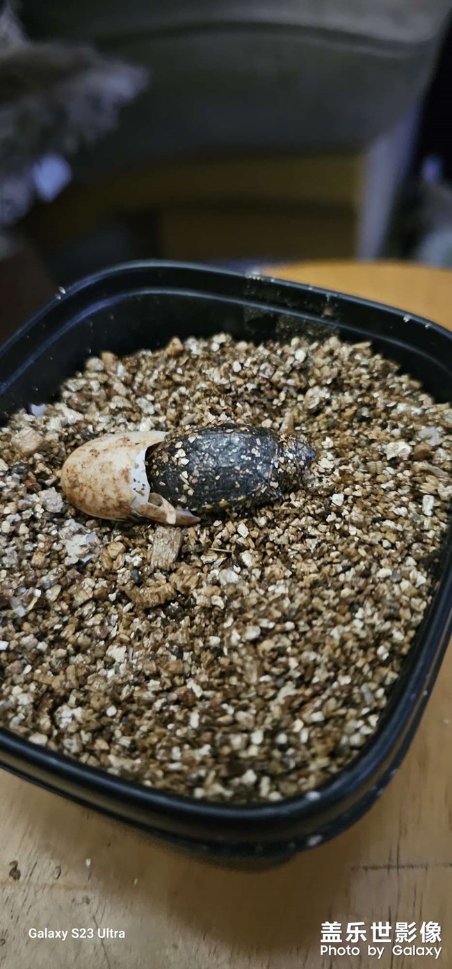 周末