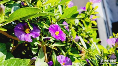 【辭舊迎新】+新生活新起點