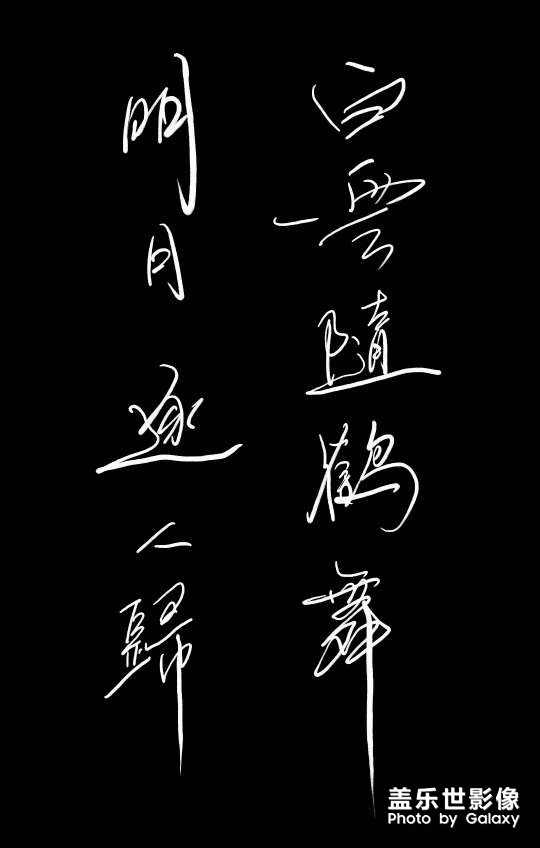 白云隨鶴舞，明月逐人歸。