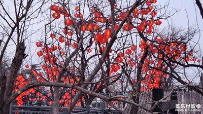 【我家鄉(xiāng)的春節(jié)】+過年的氣氛