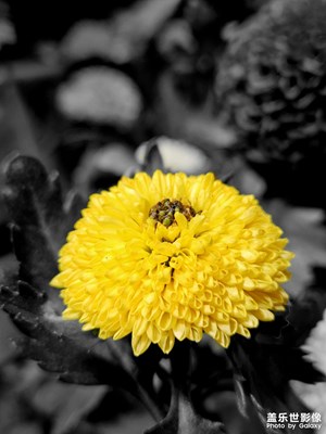 【返程路上】天下沒有不散的筵席