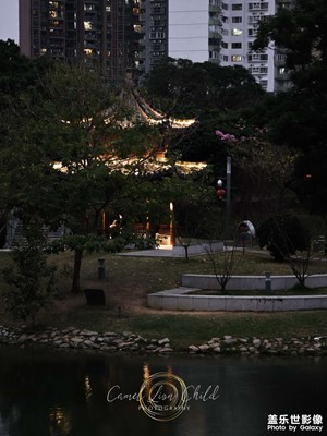 【我家鄉(xiāng)的春節(jié)】孤獨燃料