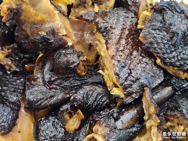 東溪黑鴨子——記錄自己的生活