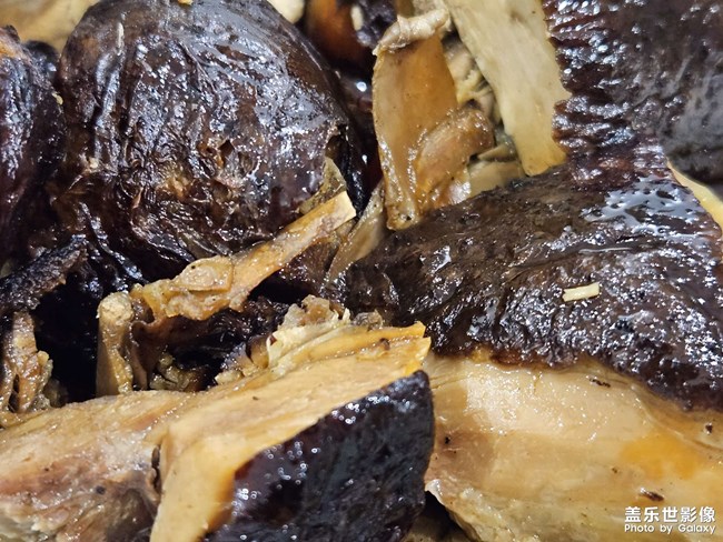 東溪黑鴨子——記錄自己的生活