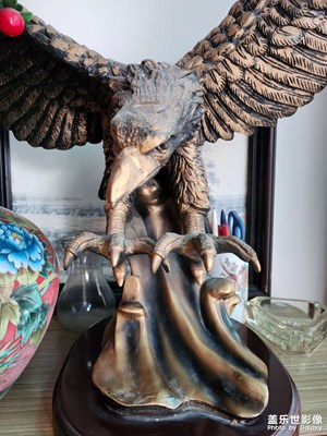 【早春】+ 家常隨拍