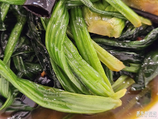 農(nóng)家小葉菠菜——記錄自己的生活