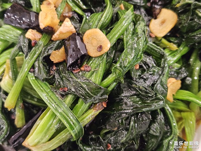 農(nóng)家小葉菠菜——記錄自己的生活