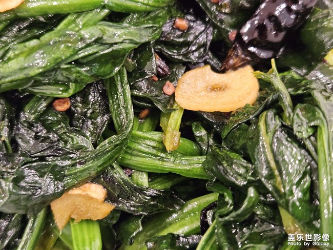 農(nóng)家小葉菠菜——記錄自己的生活