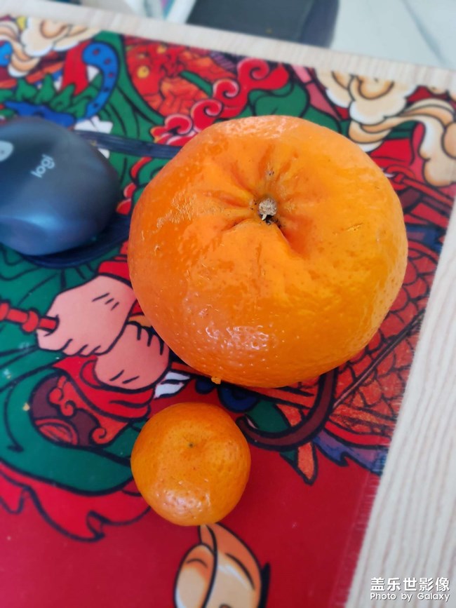 大沃柑