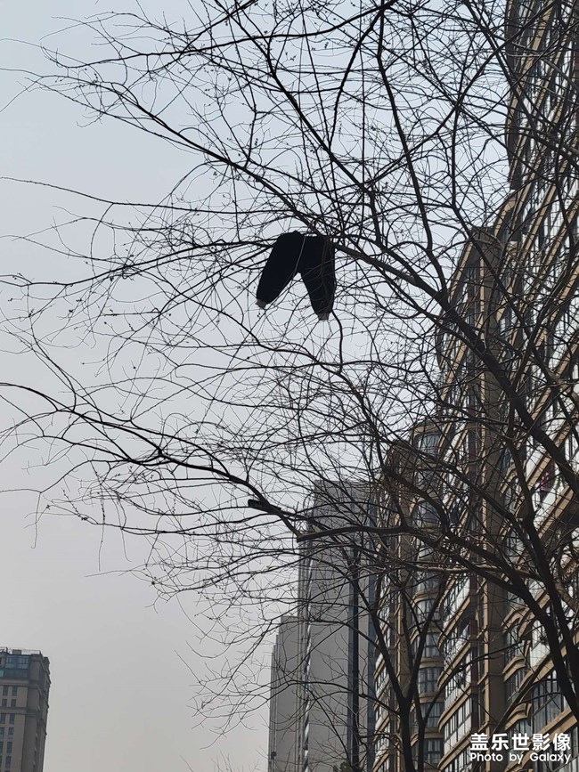 孤獨(dú)