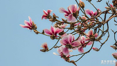 已開(kāi)獎(jiǎng)【蓋樂(lè)世影像周賽第336期】—— 眼界視界