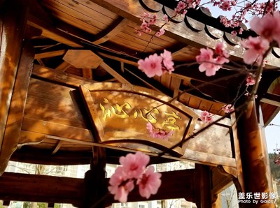 【三月芳菲】沁心亭
