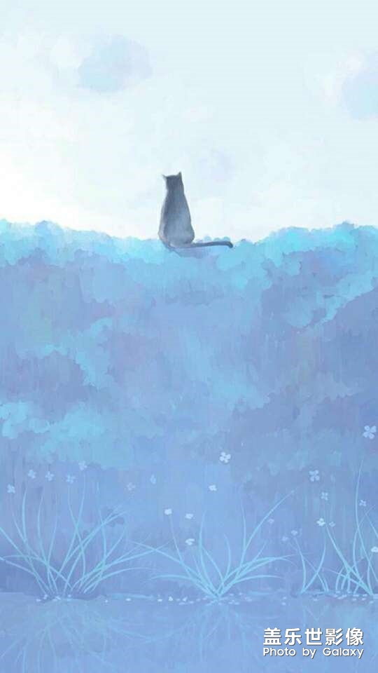 【我的最美壁紙】+常用的壁紙