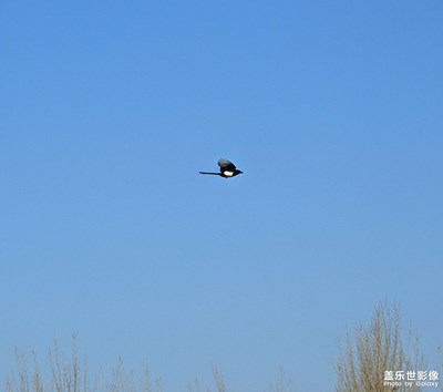 【用鏡頭丈量世界】一組雜拍