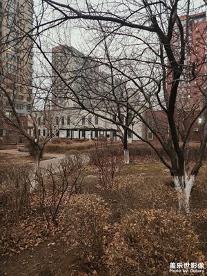 【醉春山】一場(chǎng)春雨過(guò)后