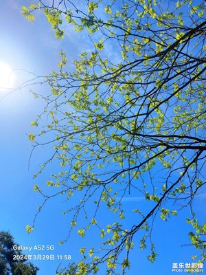 【醉春山】+春風(fēng)拂面  生機(jī)勃勃