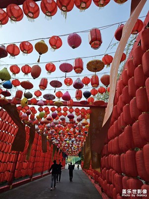 【醉春山】這次來云臺山有驚喜