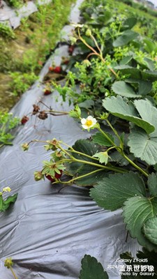 【用鏡頭丈量世界】天然