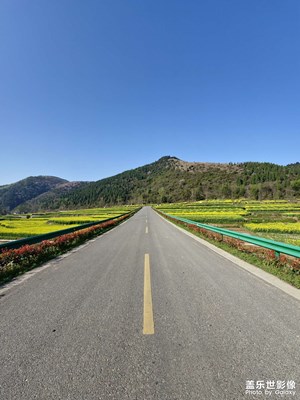 開往花海的旅途～菜花香