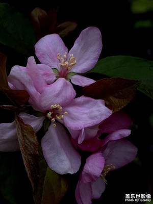 【追光塑影】+S24U專業(yè)相機