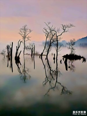 【醉春山】江灘仙境