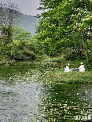 【鏡頭內(nèi)外】水上流花