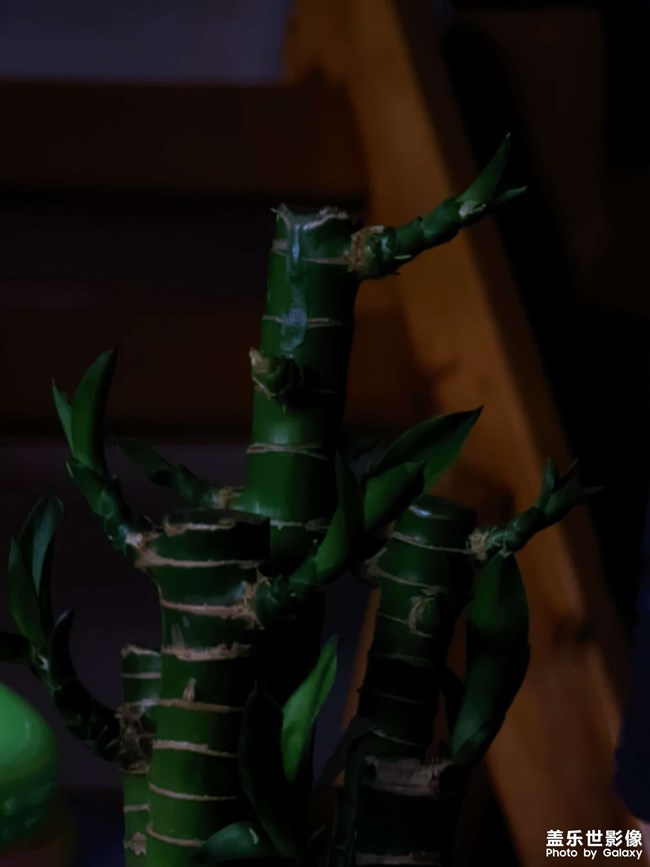 谷歌相機(jī)和原相機(jī)