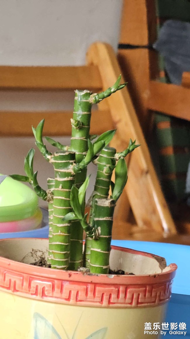 谷歌相機(jī)和原相機(jī)