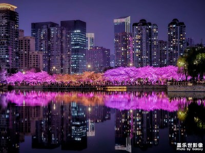 【三星手機(jī)的夜景】西北湖的繽紛夜櫻