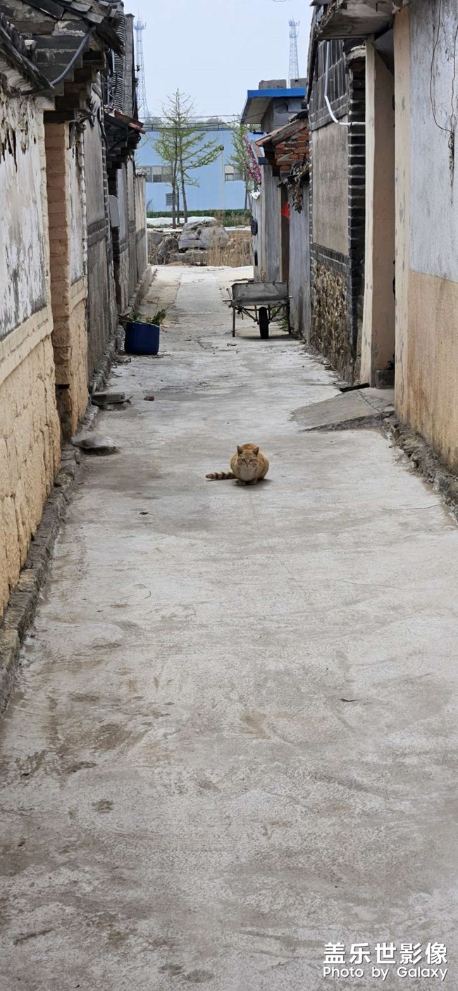 喵桑，你在干什么！