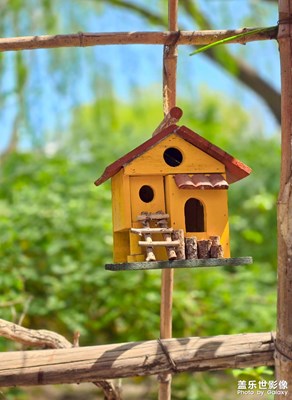 已開獎(jiǎng)【蓋樂世影像周賽第343期】——春深夏淺