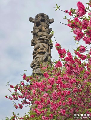 留著下次參考用【蓋樂(lè)世影像周賽第343期】——我的快樂(lè)出行