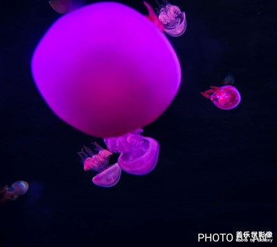 【三星手機(jī)的夜景】-地球上的星星