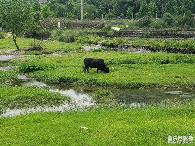 【春深夏淺】+飯后散步