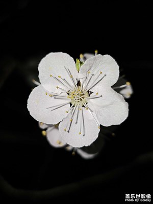 【三星手機(jī)的夜景】夜景模式＋閃光燈等于？