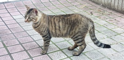 【悠閑時(shí)光】+ 散步又隨拍