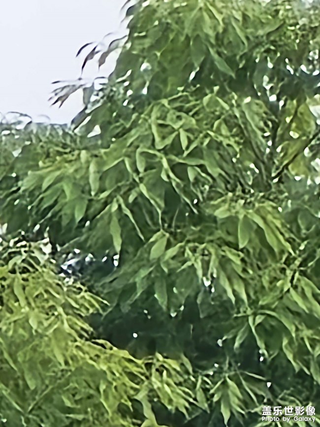 請(qǐng)看圖