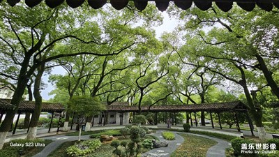 【尋光獵影】夏天的綠