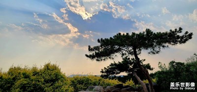 【尋光獵影】_隨手一拍