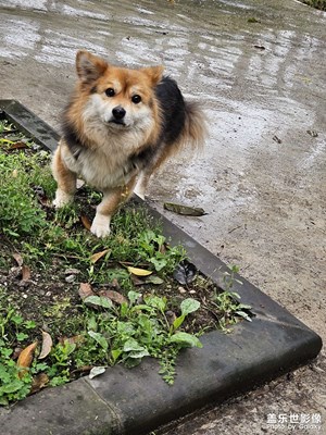 【尋光獵影】+生活小碎片