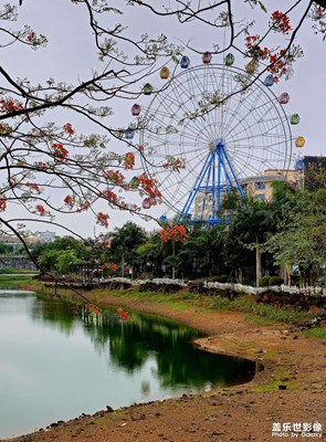 【光影色彩】風光無限好