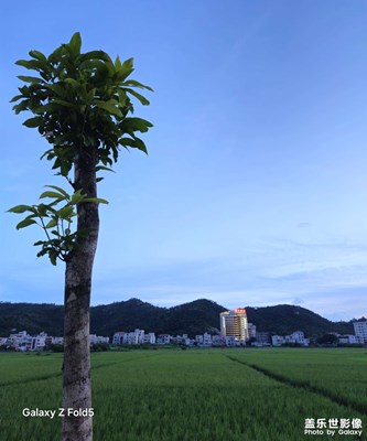 【田園風(fēng)光無限好】散步隨手拍